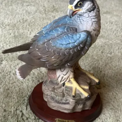 Peregrine Falcon from Americana Bird Collection by Jonathon Byron