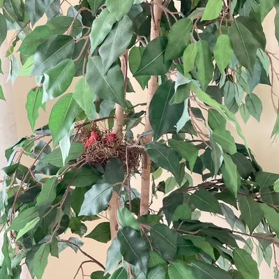 Sale Photo Thumbnail #220