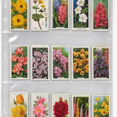 Sale Photo Thumbnail #188