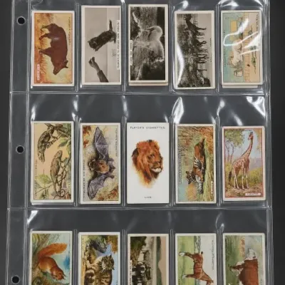 Sale Photo Thumbnail #187
