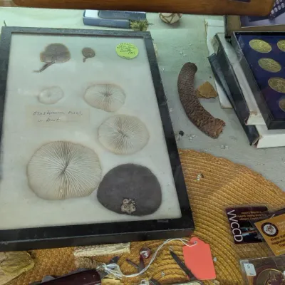Sale Photo Thumbnail #379