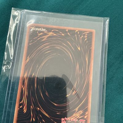 Dark Magician Holo Yugioh Card