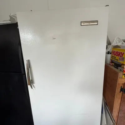 Stand Up Freezer
