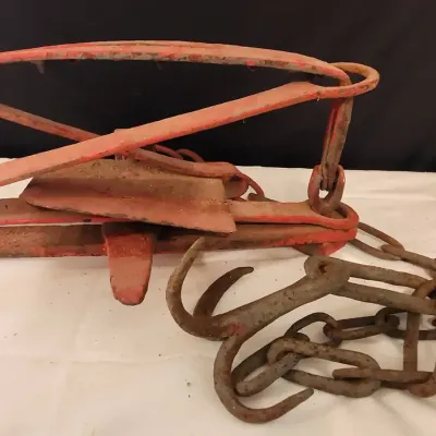 Red Bear Trap