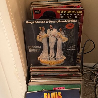 Large lot of albums. (Tvr)