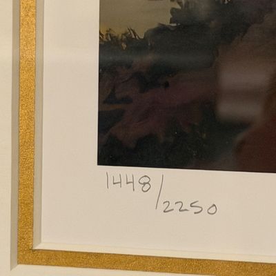 Alexander Chen “Grand Canyon Vista” Signed Limited Edition Serigraph 1448/2250 – Framed (TV R)