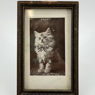 Sale Photo Thumbnail #133