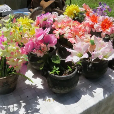 Sale Photo Thumbnail #64