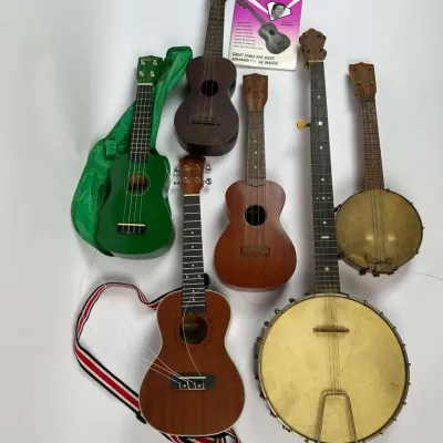 Ukulele Banjo Collection Banjo Ukes Acoustic Instruments Assortment