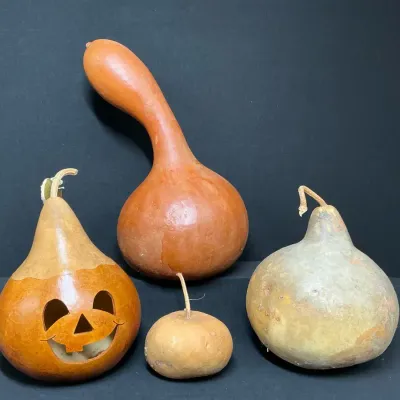 Natural Dried Gourds In Various Shapes