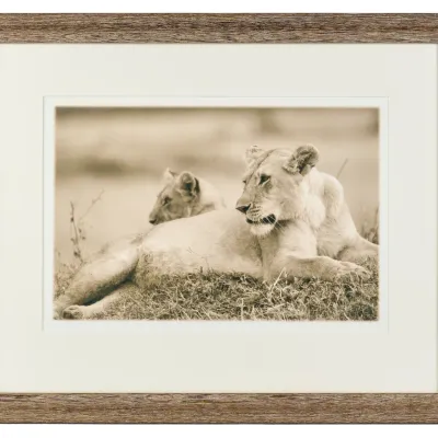 Sale Photo Thumbnail #412