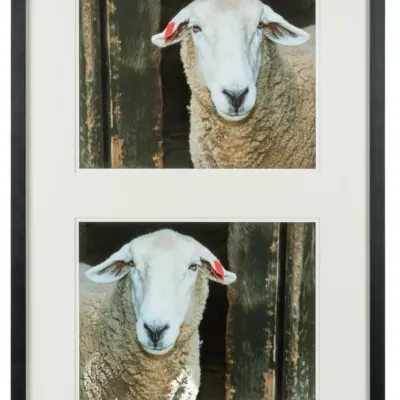 Sale Photo Thumbnail #413