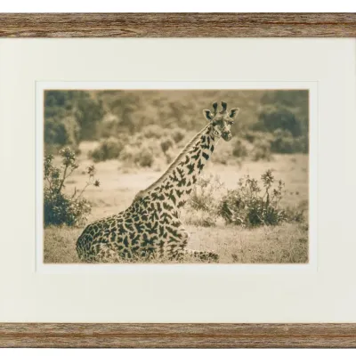 Sale Photo Thumbnail #415