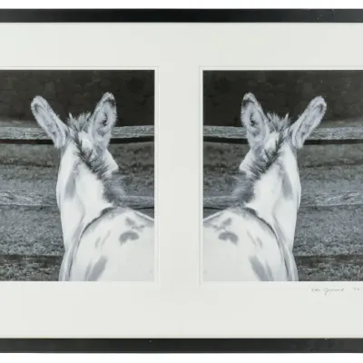 Sale Photo Thumbnail #414