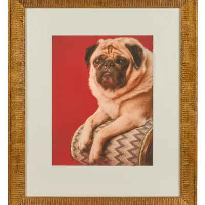 Sale Photo Thumbnail #423