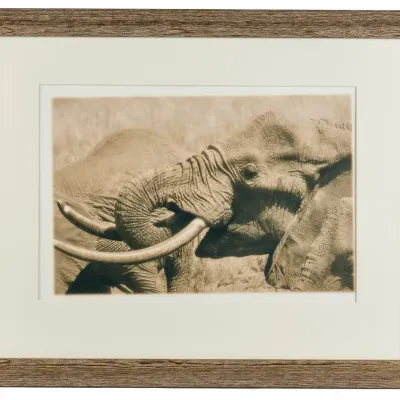 Sale Photo Thumbnail #416