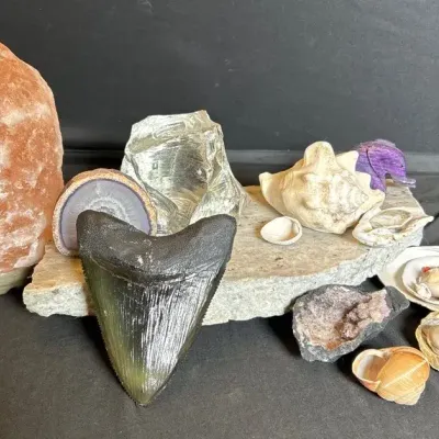 Natural Stones And Shells