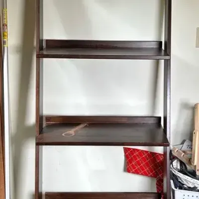 Leaning Ladder Shelf