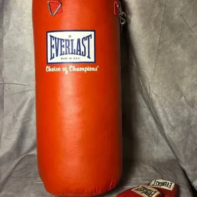 Everlast Punching Bag With Gloves