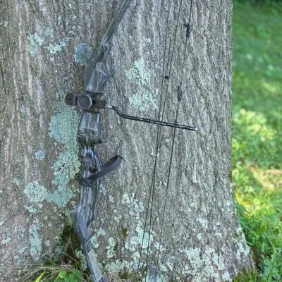 Bear Whitetail II 69lb. Compound Bow