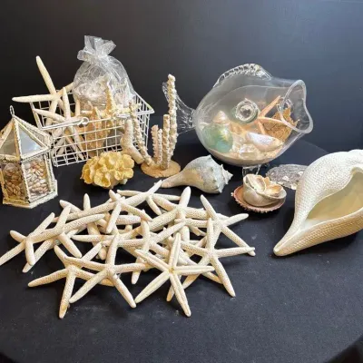 Large Coastal Seashell & Starfish Decor 