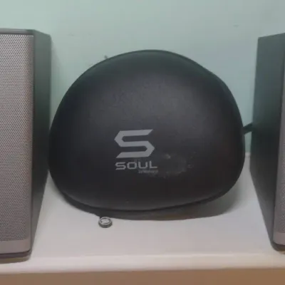Bose Computer Speakers & Soul Headphones 