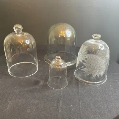 Vintage Glass Cloche Lot