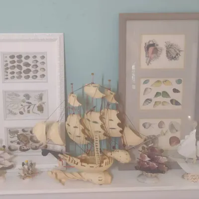 Seashell Prints And Ships