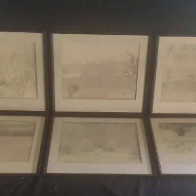 6 Black & White Safari Photos In Frames