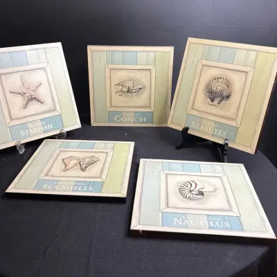 Set of 5 Coastal Seashell-Themed Wall Art Panels 
