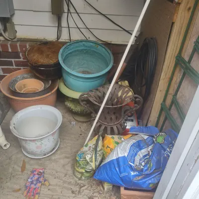 Contents Of Shed