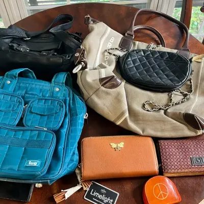 Ladies Purses: Brandina, Lug And More