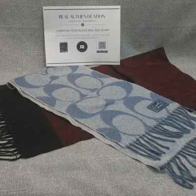 Christian Dior And Coach Scarves
