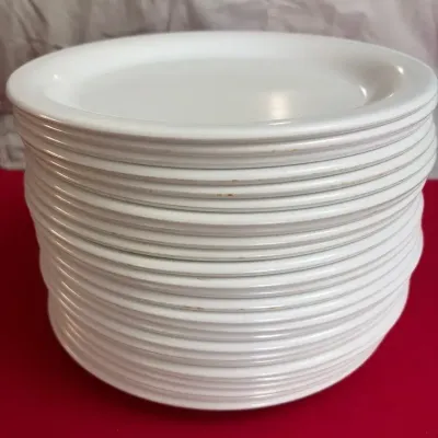 Mid Century Kasen Melamine Plates