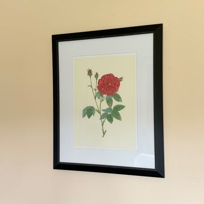 2 Framed Art Prints