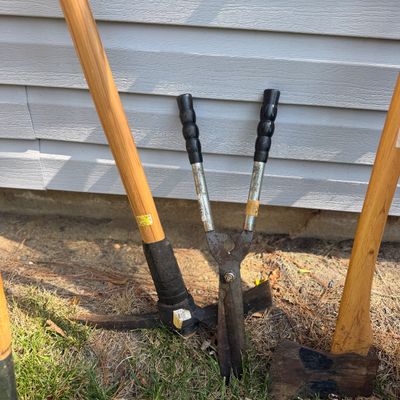 Big Lot of Yard Tools