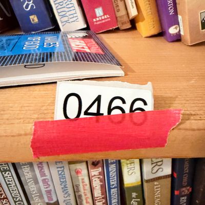 Decorative Wooden 5 Shelves Bookshelf w Books