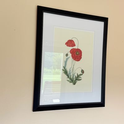 2 Framed Art Prints