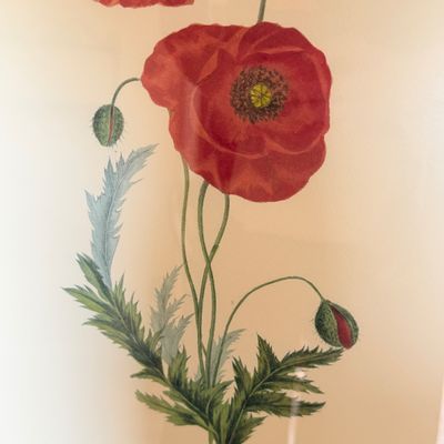 2 Framed Art Prints