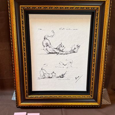 Sale Photo Thumbnail #76: A10-Nano Lopez Art-Cat