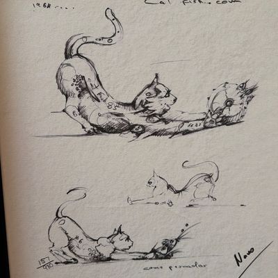 Sale Photo Thumbnail #77: A10-Nano Lopez Art-Cat