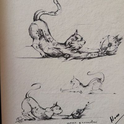 Sale Photo Thumbnail #79: A10-Nano Lopez Art-Cat