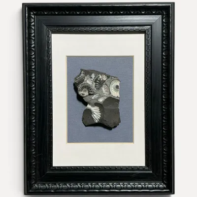 Sale Photo Thumbnail #195