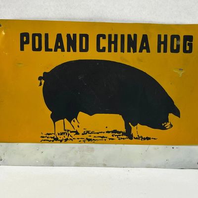Poland China Hog Painted Metal Sign
