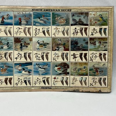 Federal Ammunition Ducks Tin Sign