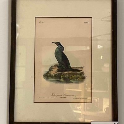 Sale Photo Thumbnail #228: J.J. Audubon, Violet-green Cormorant