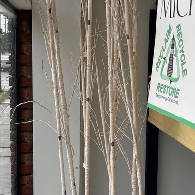 Sale Photo Thumbnail #21: Lighted Faux Birch Branch Floor Display