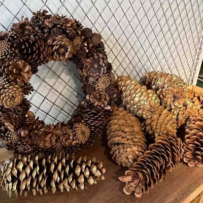 Sale Photo Thumbnail #445: Pinecone Wreath & Specimen Pinecones