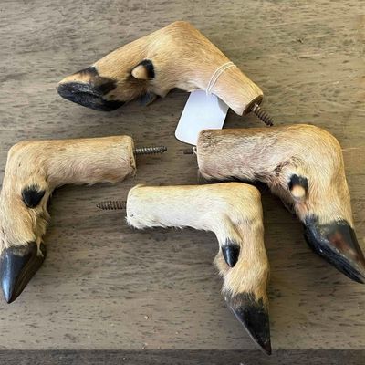 Sale Photo Thumbnail #131: Set 4 Taxidermy Deer Hoof Wall Hooks