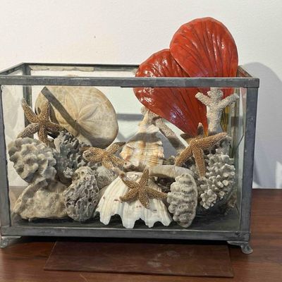 Sale Photo Thumbnail #297: Marine Specimens Glass & Metal Vitrine